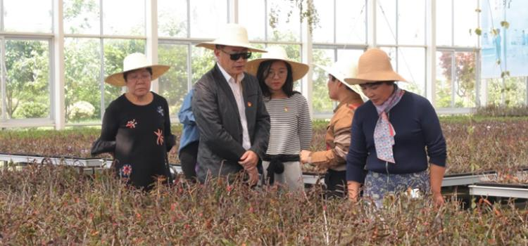 “百名干部聯(lián)百企破百題”專項(xiàng)行動(dòng)